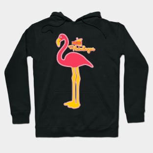 Defunct Miami Beach Flamingos Baseball Team Hoodie